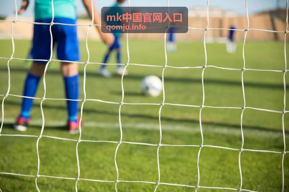 mk中国官网入口 权限管理与安全设置界面