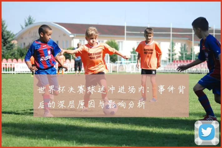 世界杯决赛球迷冲进场内：事件背后的深层原因与影响分析