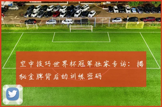空中技巧世界杯冠军独家专访：揭秘金牌背后的训练密码