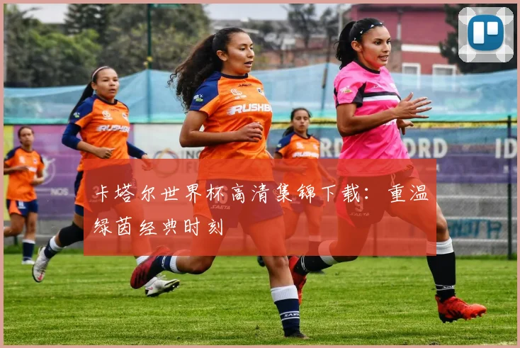 卡塔尔世界杯高清集锦下载：重温绿茵经典时刻
