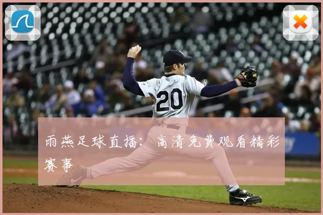雨燕足球直播：高清免费观看精彩赛事
