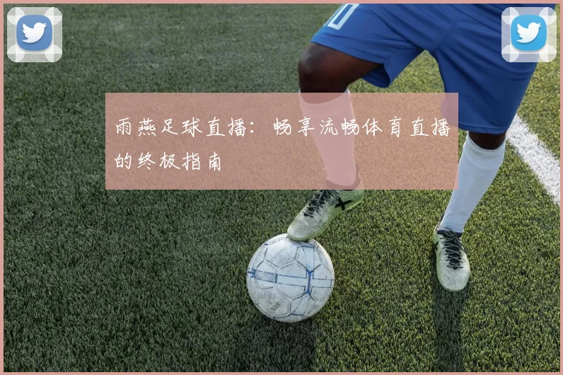 雨燕足球直播:畅享流畅体育直播的终极指南
