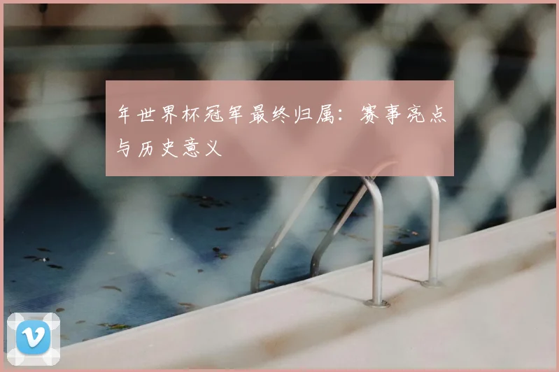 年世界杯冠军最终归属：赛事亮点与历史意义