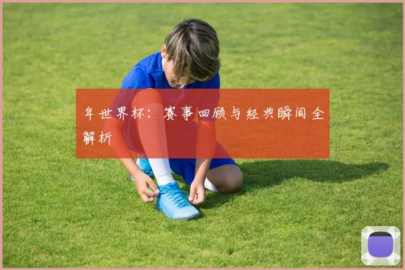 年世界杯：赛事回顾与经典瞬间全解析