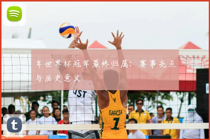 年世界杯冠军最终归属：赛事亮点与历史意义
