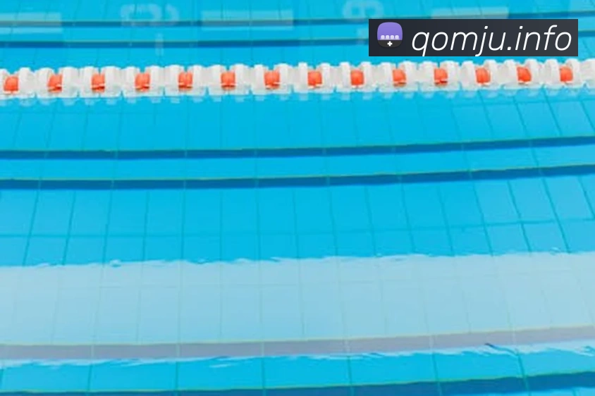 九游体育app官网登录平台生态图